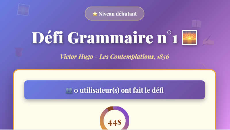 Défi grammaire n°1
